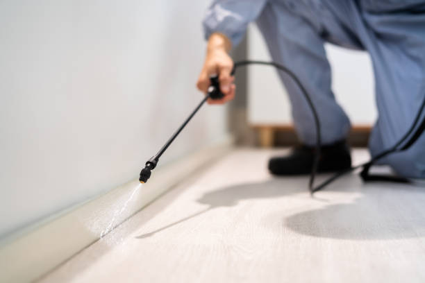Professional exterminator conducting IPM assessment in Redwater